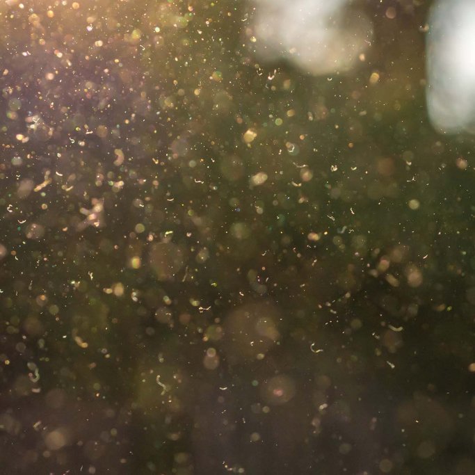 pollens, acariens